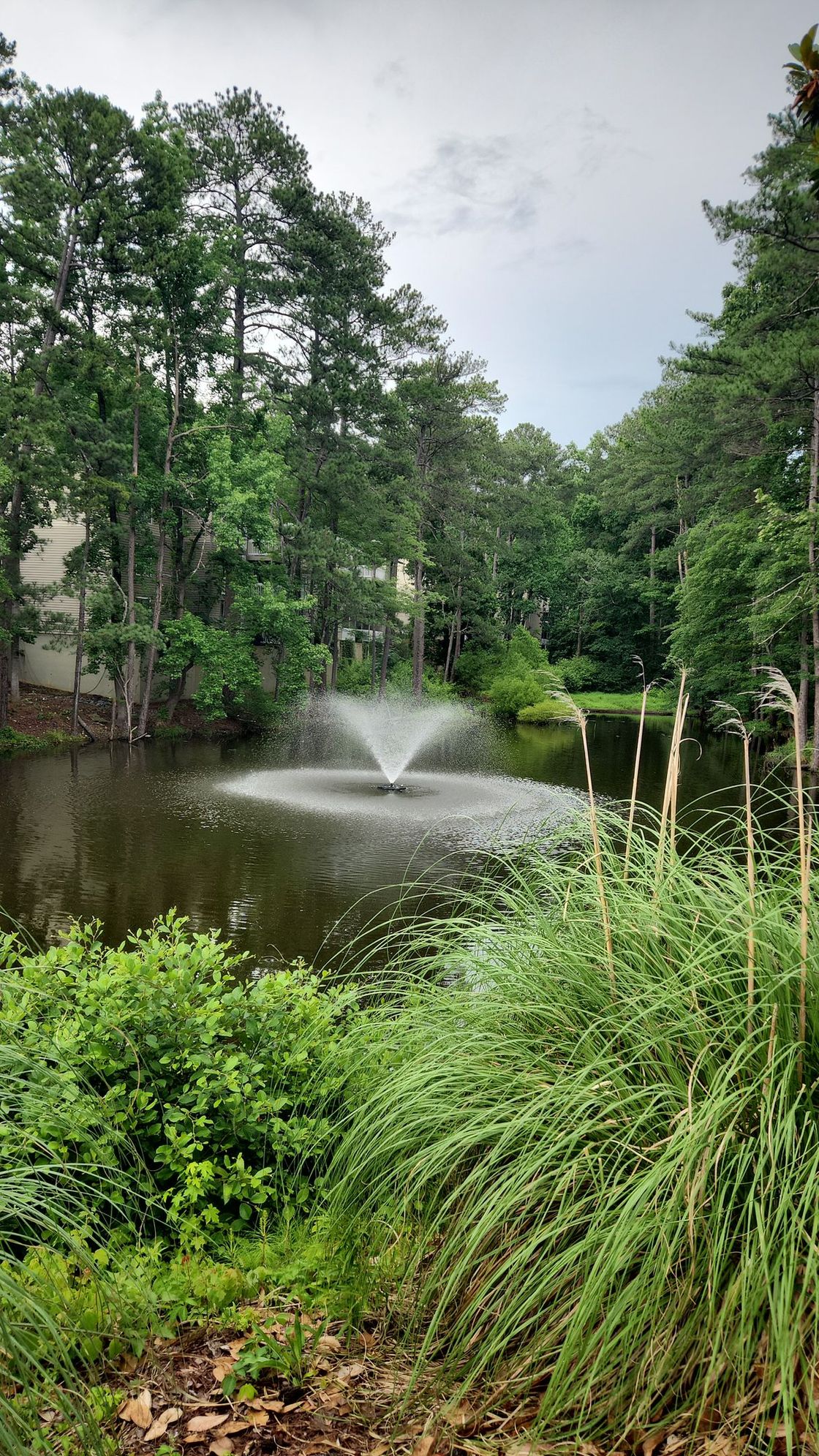 Beautiful Pond and Fountain 