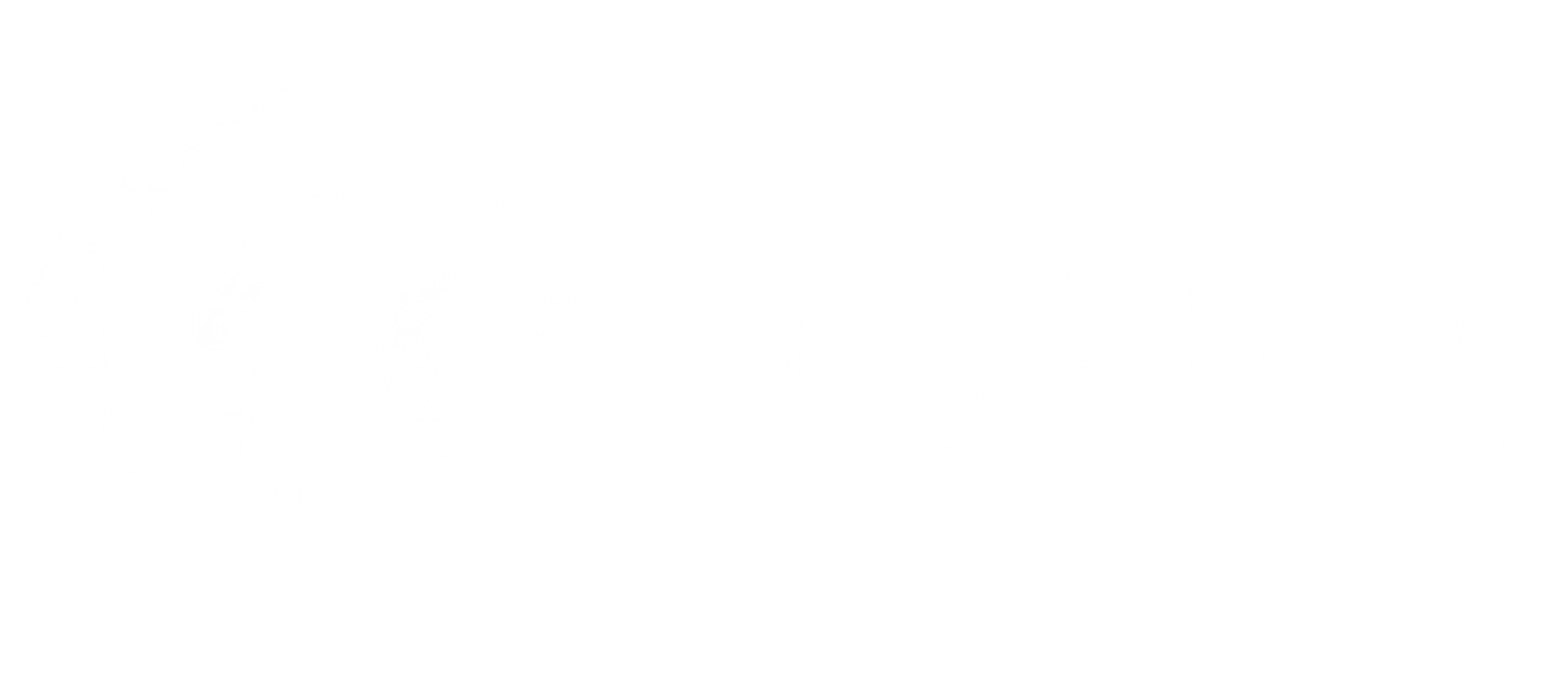 Blank white image with a thin black horizontal line near the bottom