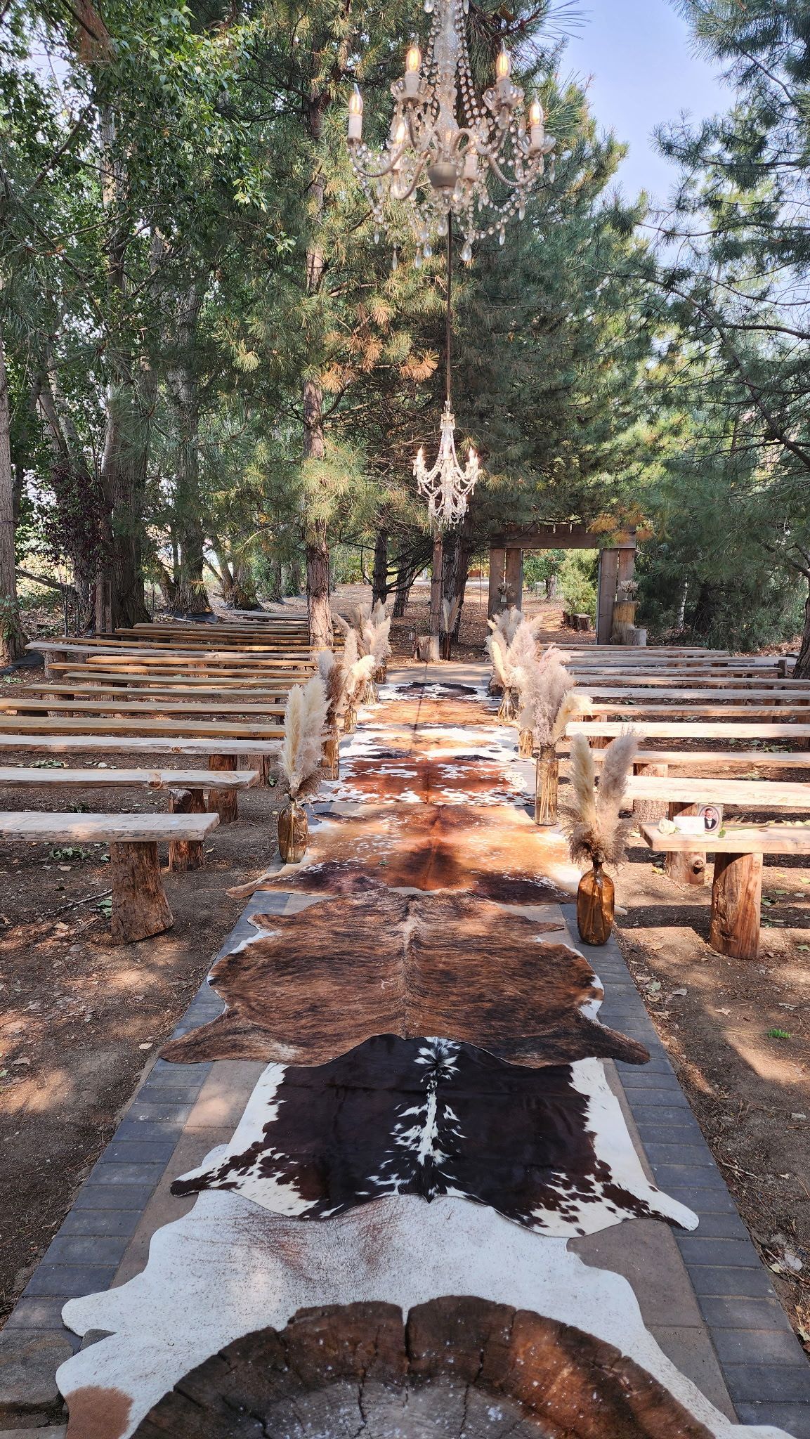 Outdoor amphitheater with wooden benches and a central walkway leading to trees and a stone focal point