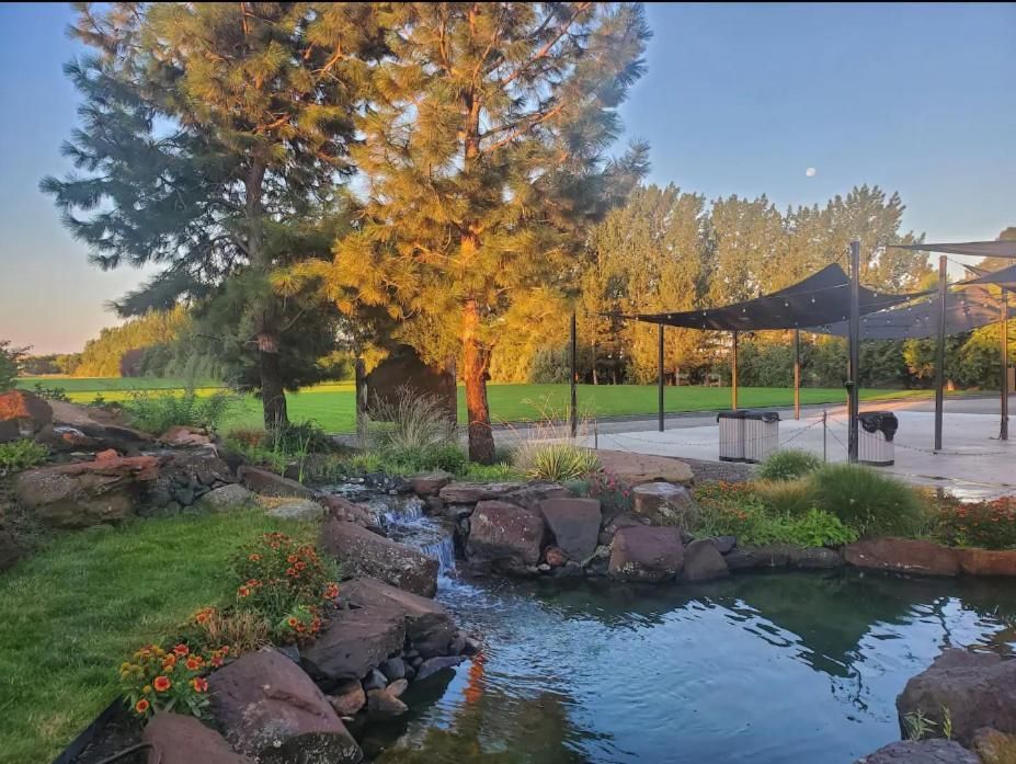 Sunlit park pond with rocks, trees, and a shaded pavilion at sunset