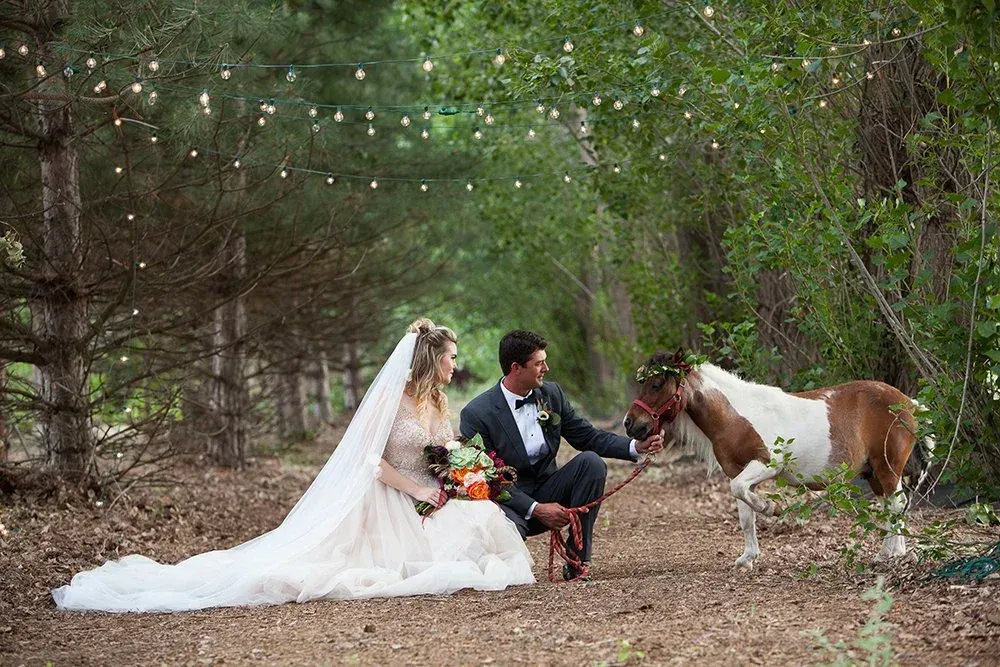 Bride and groom sit in a forest, feeding a brown-and-white pony beside them, with a long white veil on the ground