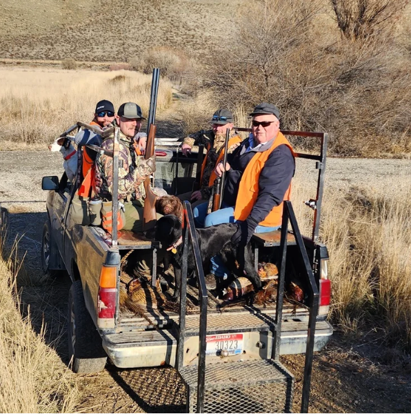 Hunters with two dogs on an open trailer in a grassy field, wearing orange safety vests
