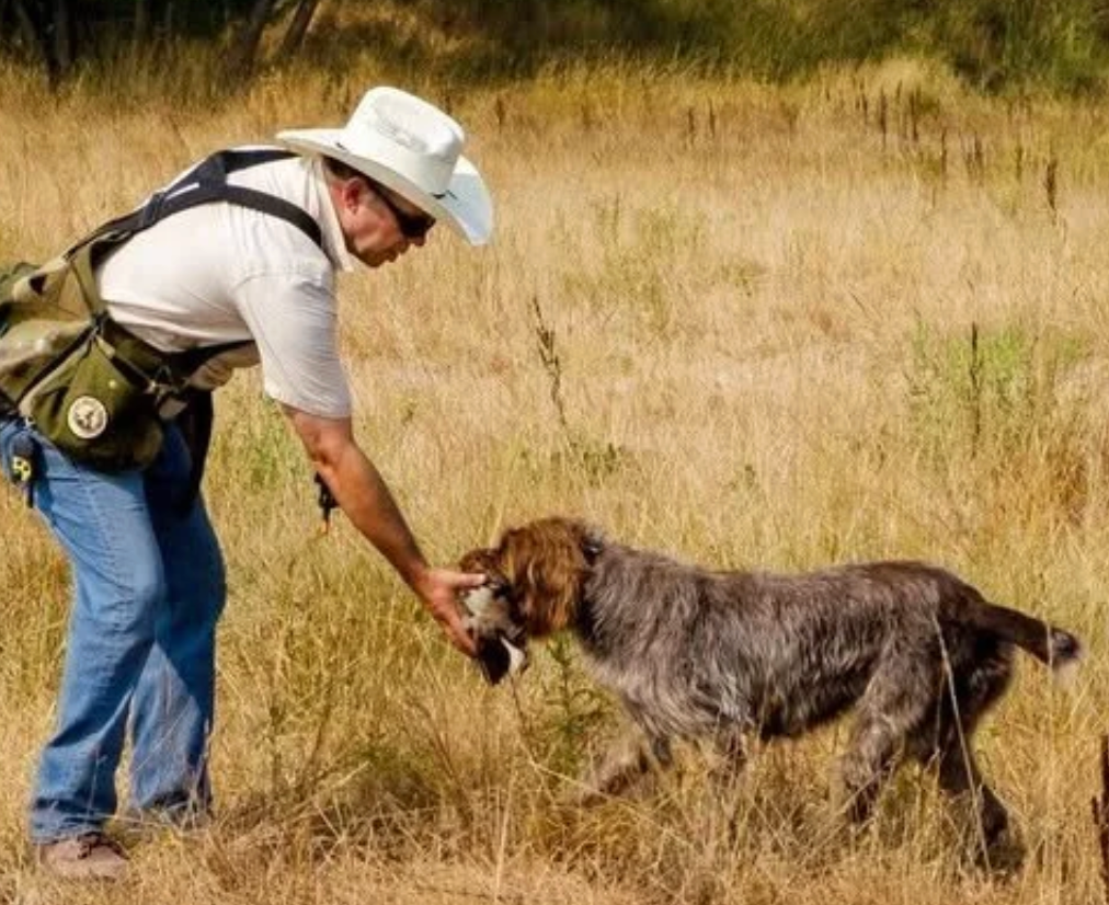 Cowboy in a white hat feeding a brown dog in a dry grassy field.