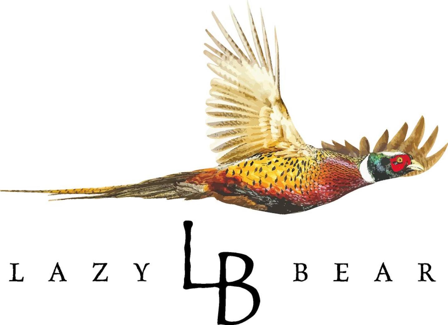 Colorful pheasant logo with “LAZY LB BEAR” text on a white background