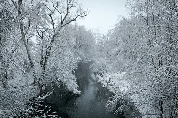 Frozen ranal and frosted trees on cold winter’s day.