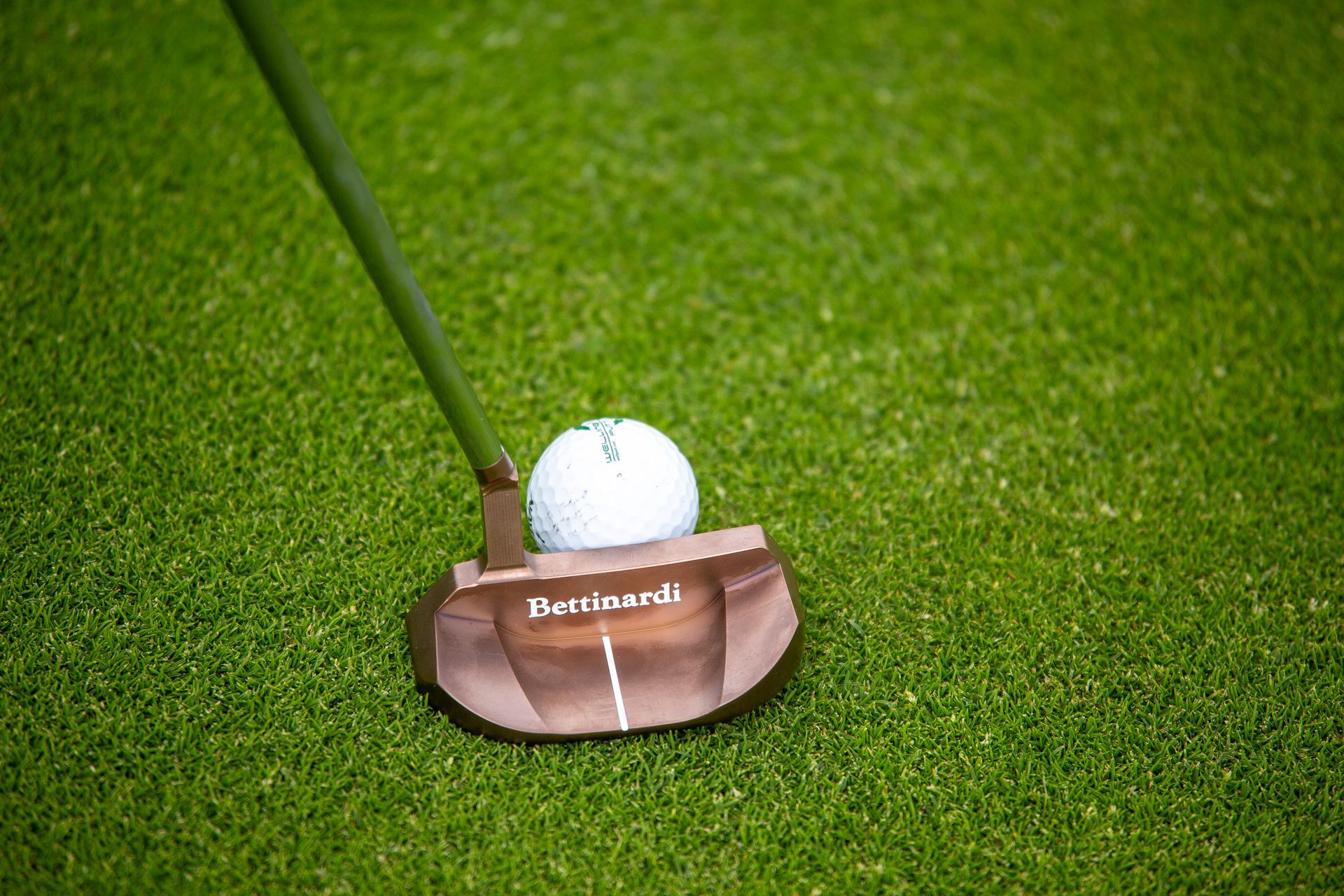 Warwickshire Golf Sim