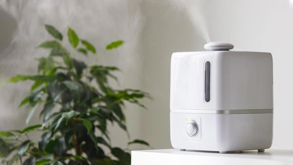 White humidifier on a table beside a green potted plant in a bright room