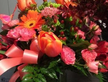 Bouquet of orange, pink, and red flowers with green leaves and a pink ribbon