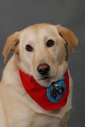 Staff Photo