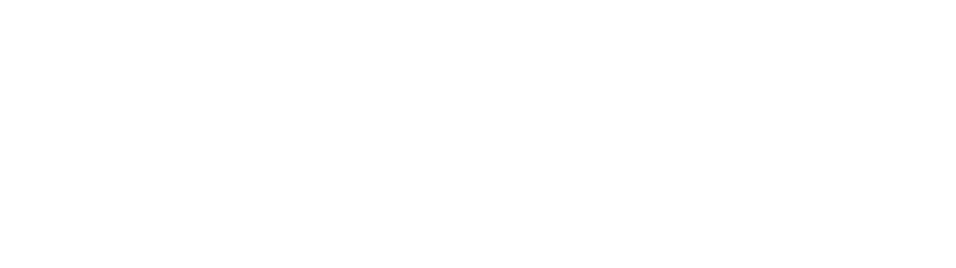 LIDO DI SESTO-LOGO