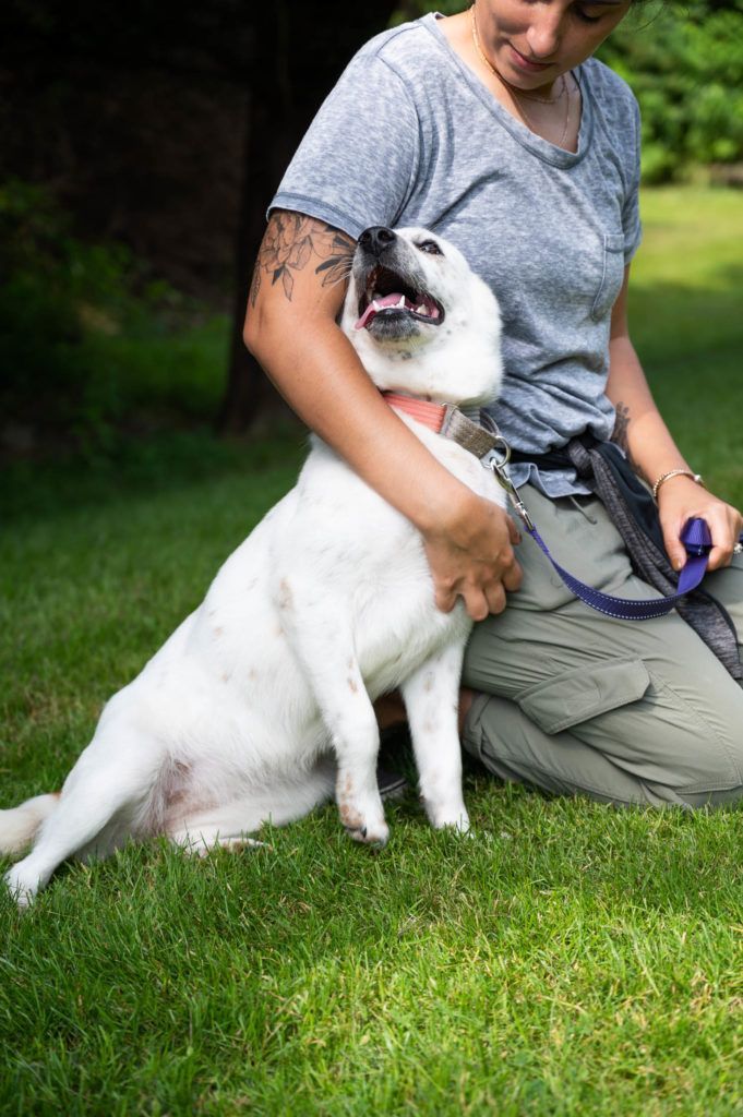 A woman is kneeling down next to a white dog on a leash.