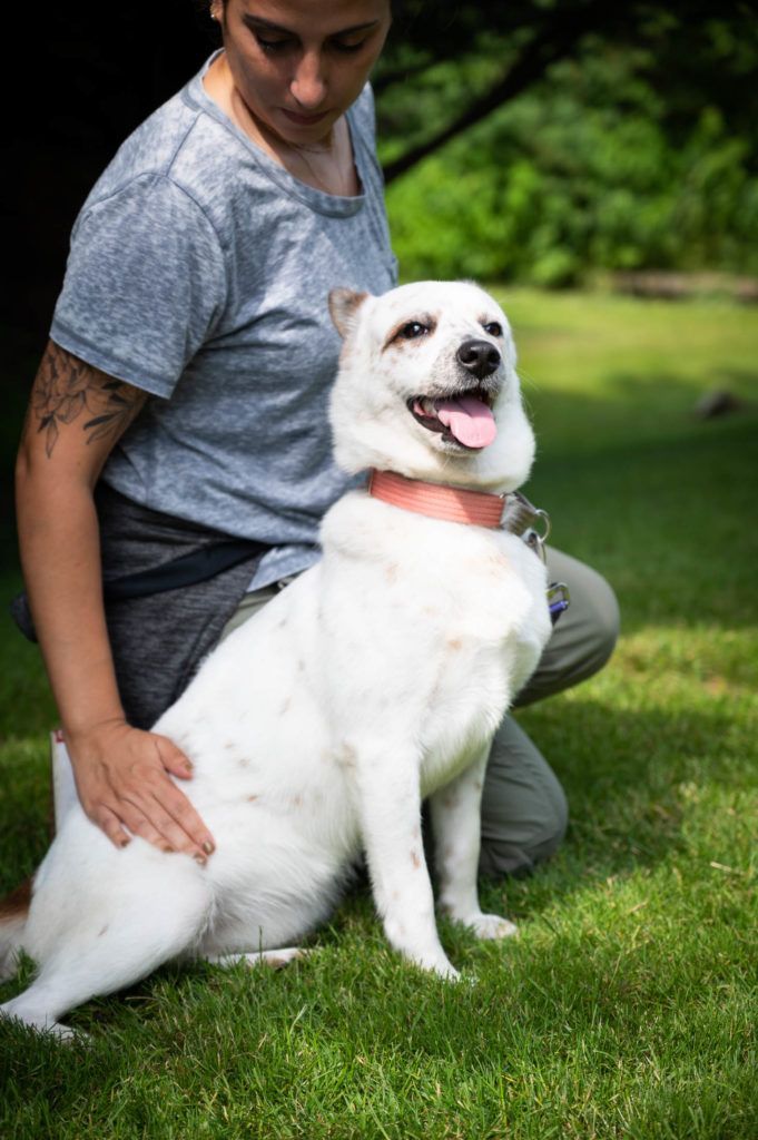 A woman is kneeling down next to a white dog in the grass.