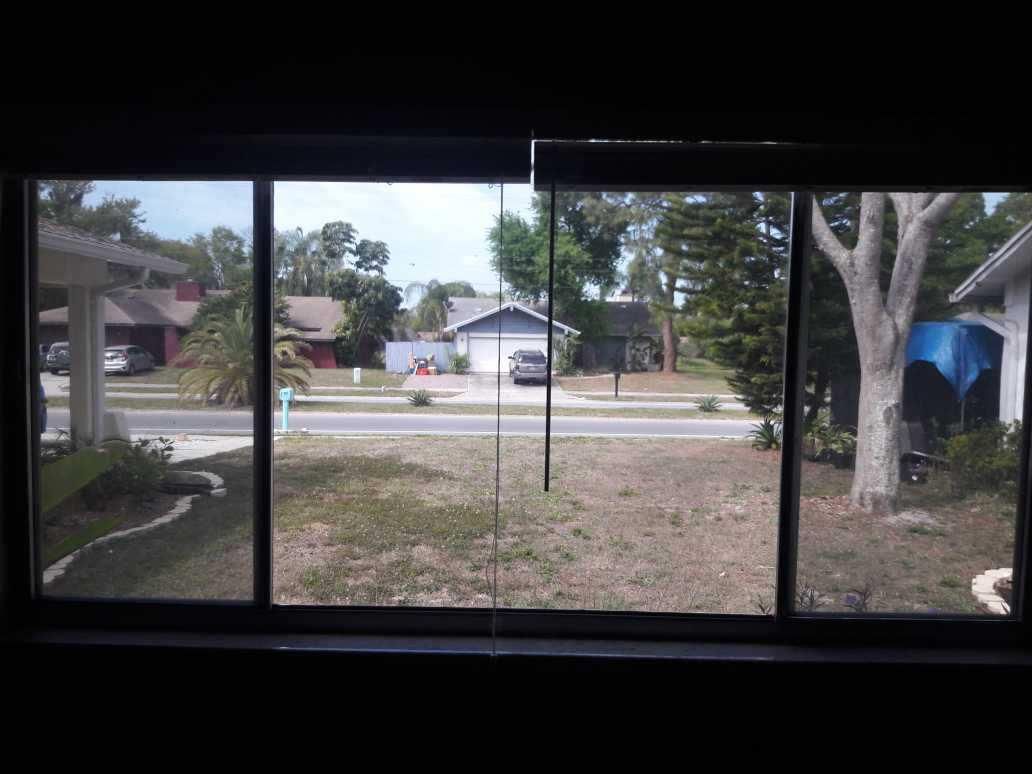 View through a window of a quiet suburban street with houses, trees, and a blue carport.