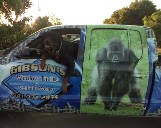 Branded van with colorful window tinting graphics and a gorilla image on the side in a parking lot