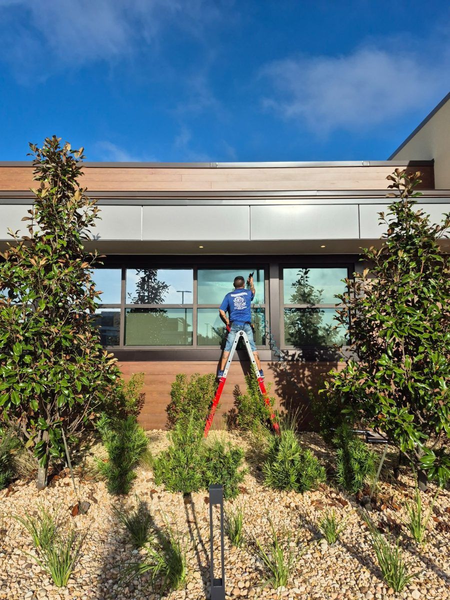 Worker on ladder trimming shrubs in front of a building under a blue sky.