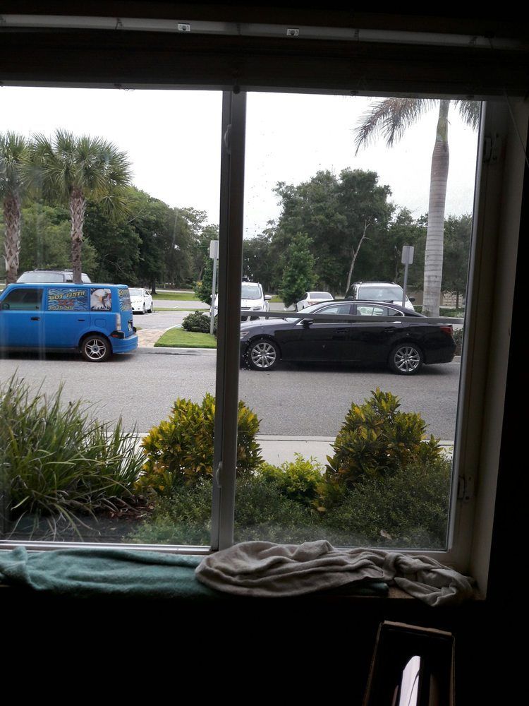 View through a window of a street with a blue van, black car, and palm trees on a cloudy day