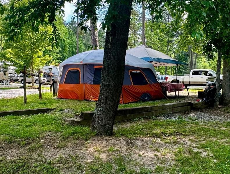 Orange and gray tent under trees in a grassy campsite, with a picnic table and parked vehicles nearby