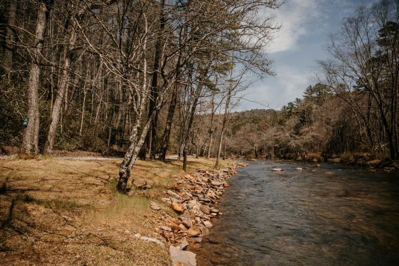 Wooded riverbank with a shallow river flowing past leafless trees and rocky shore in early spring