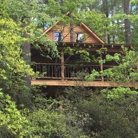 Wooden treehouse cabin nestled among lush green trees in a forest