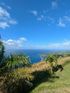 Blue ocean view with a bright blue sky and green shoreline.