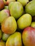 Pile of green and yellow mangoes, some with red blush, in a close-up shot.