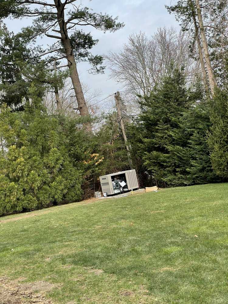 Backup generator in yard surrounded by trees; overcast sky.