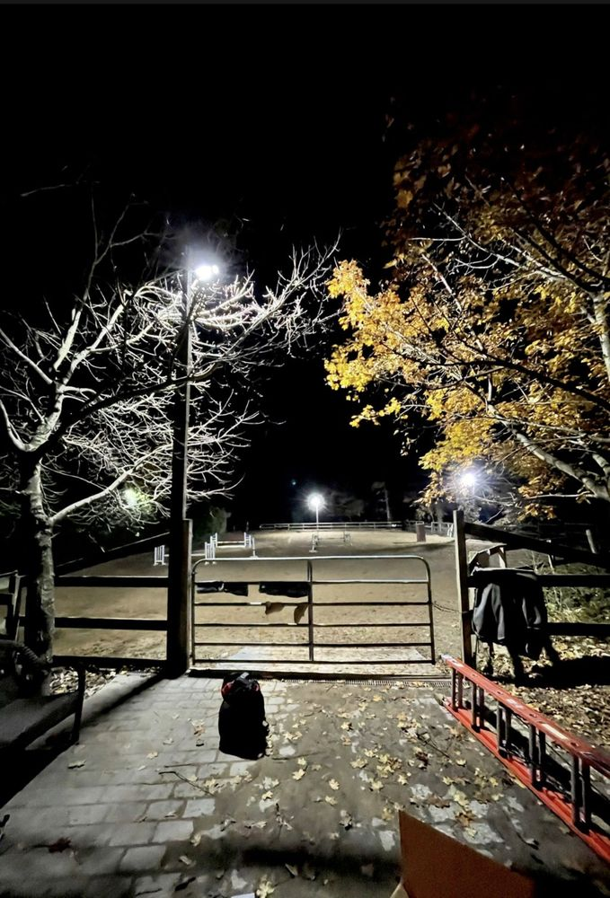 Night scene: Open gate, lit path between trees with fall leaves. Backpack sits in the foreground.
