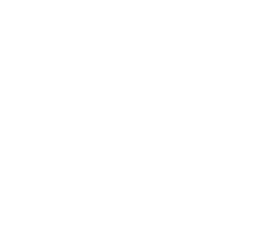 Sims Electric Logo