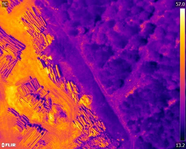 Forest Thermal Survey