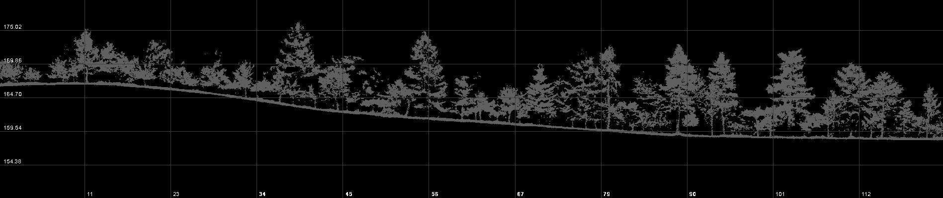 Tree biomass