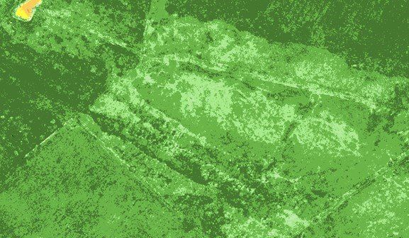 NDVI multispectral image of farmland