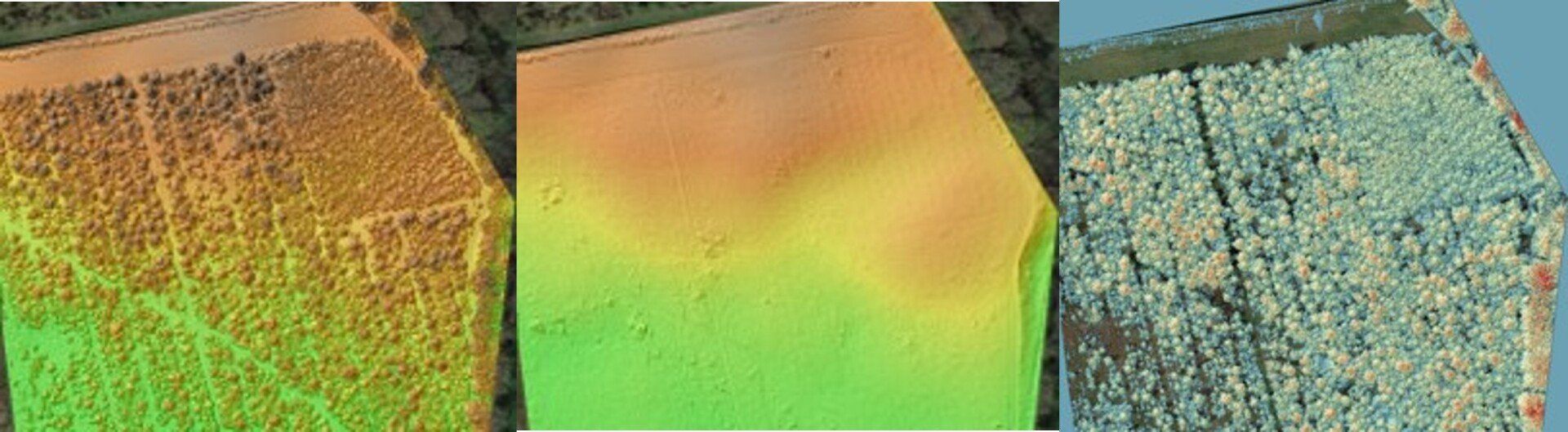 Photogrammetry and lidar survey