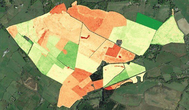 Habitat survey and vegetation condition survey