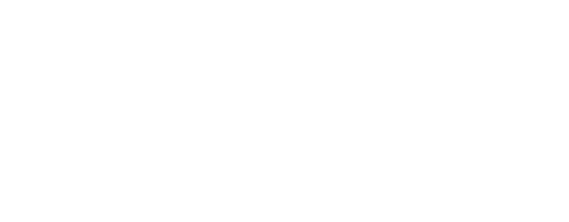 logo-image