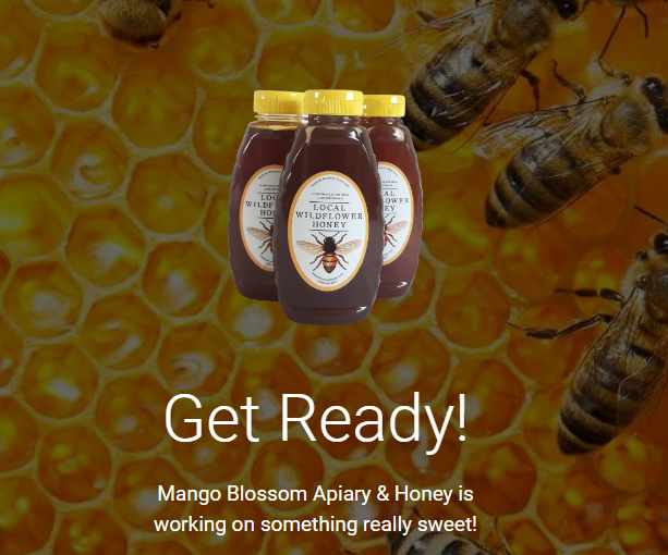 Three honey bottles over a honeycomb background with bees and text saying “Get Ready!”