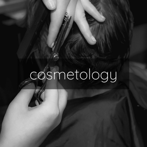 Cosmetology Aveda Institute Maine Augusta, Maine Home