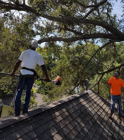 Two men are standing on top of a roof with trees in the background.