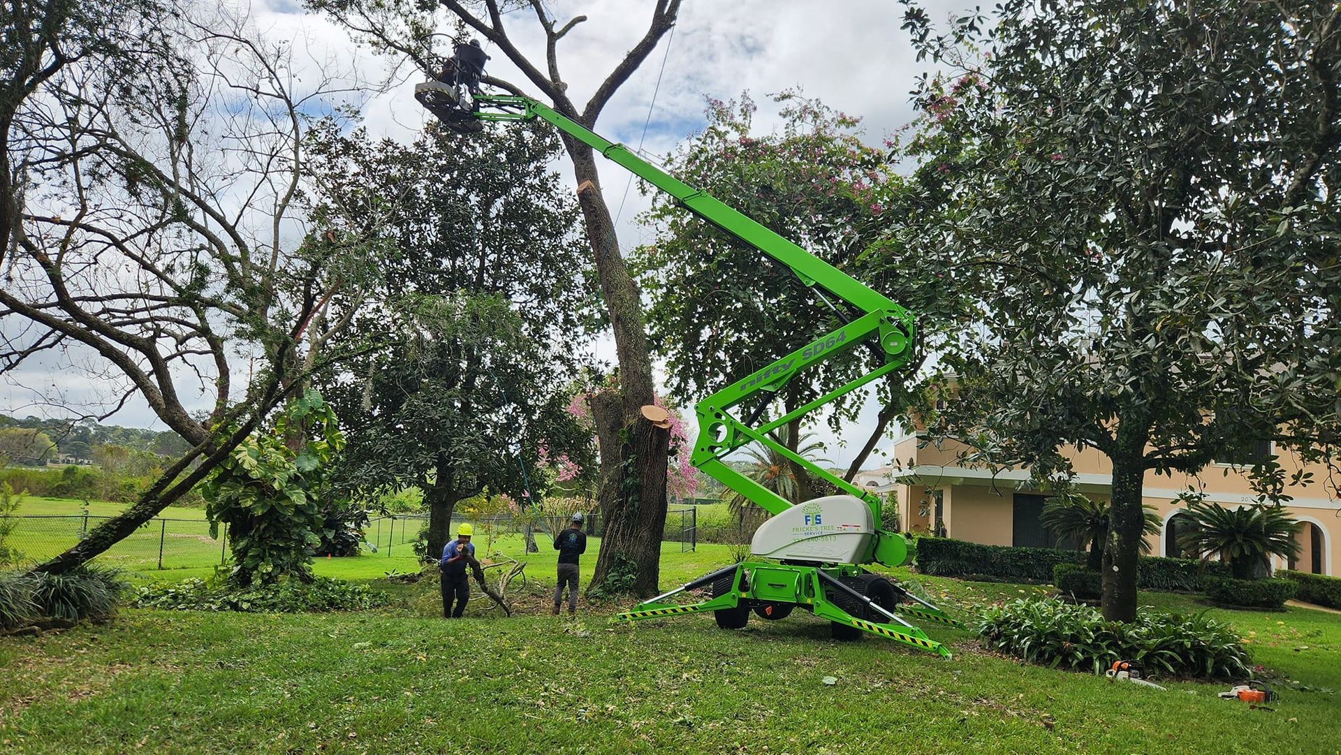 A green crane is cutting a tree in a yard.