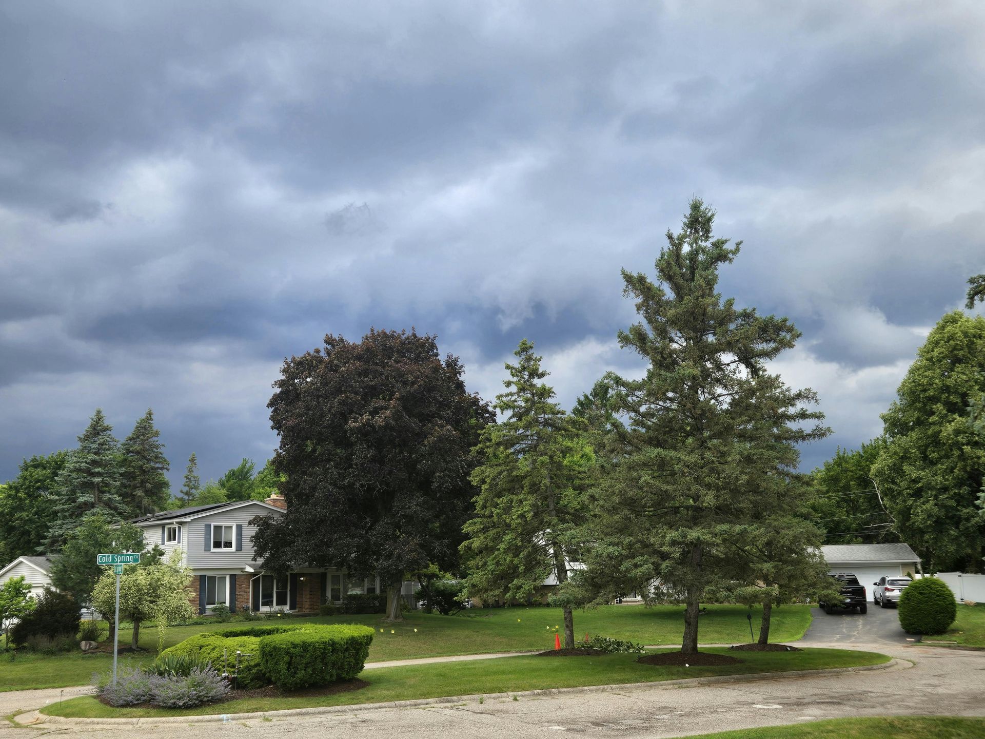 Suburban house with lush green lawn and tall trees under a cloudy sky