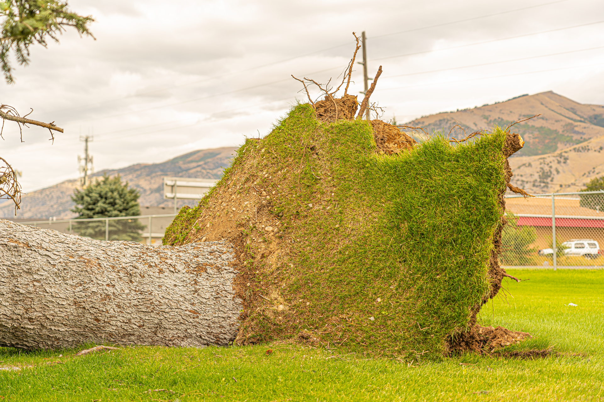 Vine-covered stone wall in a grassy field with mountains and cloudy sky in the background