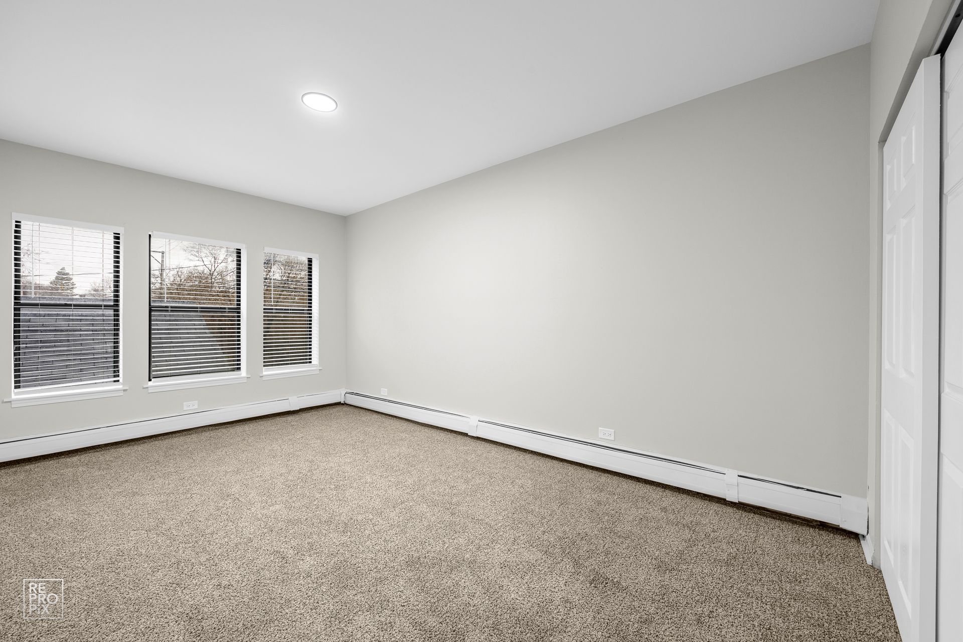 Empty room with three windows, beige carpet, and white walls.