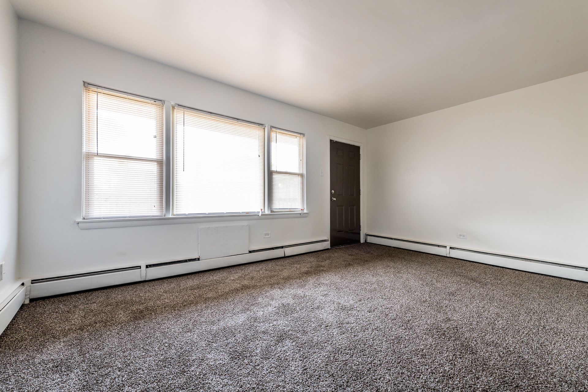 Empty room with brown carpet, three windows with blinds, and a dark door.