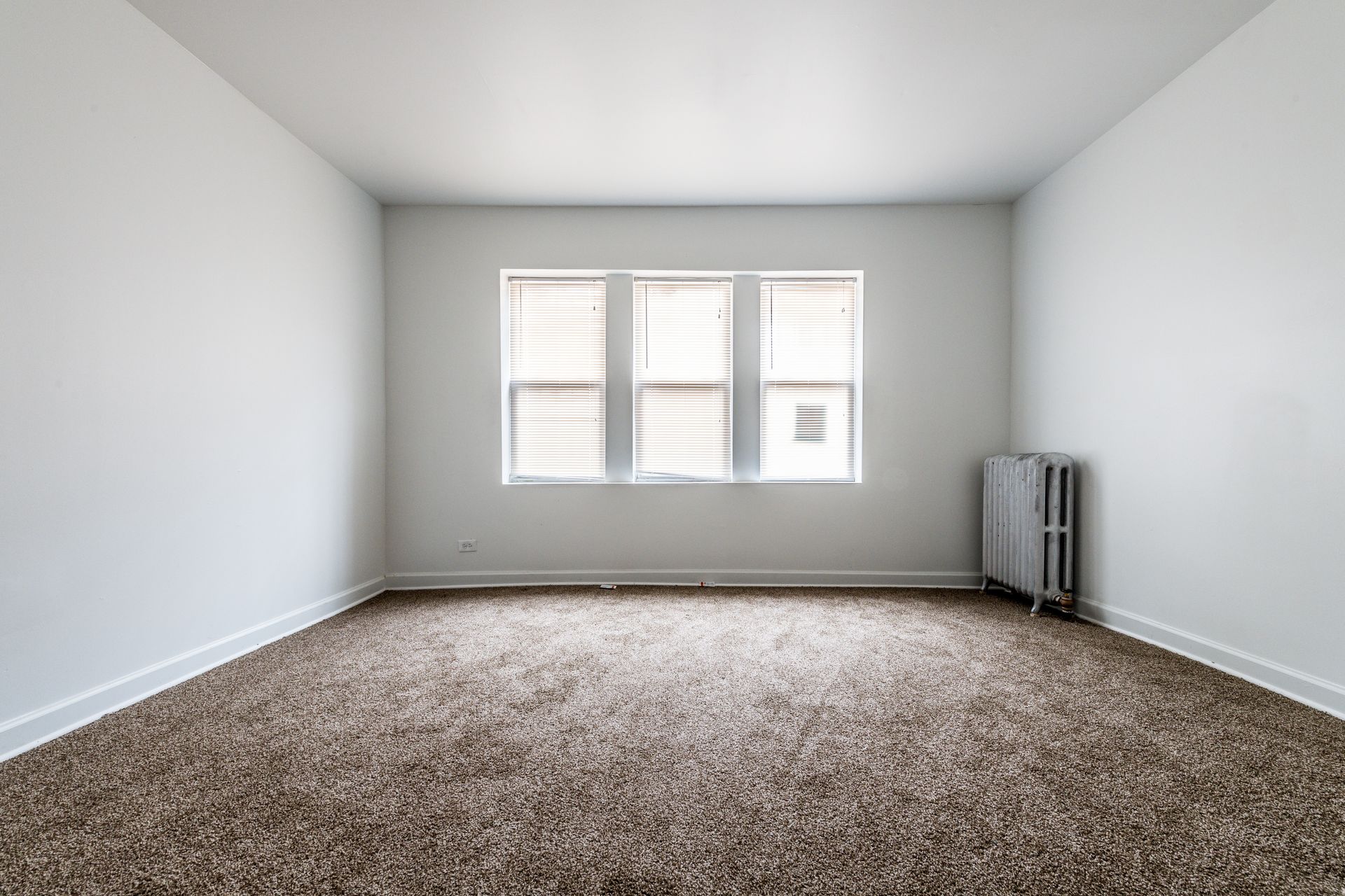 Empty room with brown carpet, white walls, a window, and a radiator.