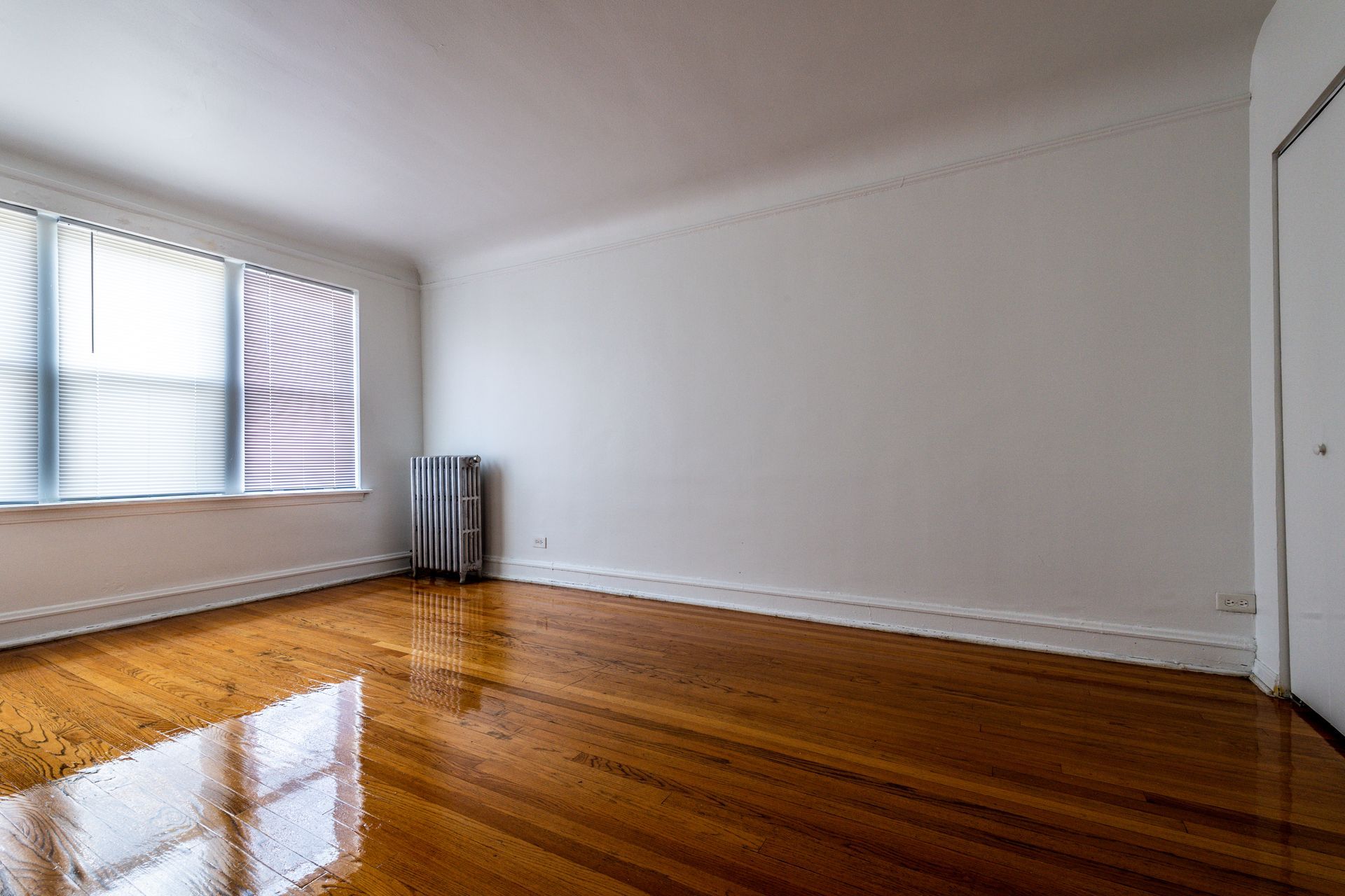Empty room with hardwood floors, a window with blinds, and a radiator. White walls and a closed door.