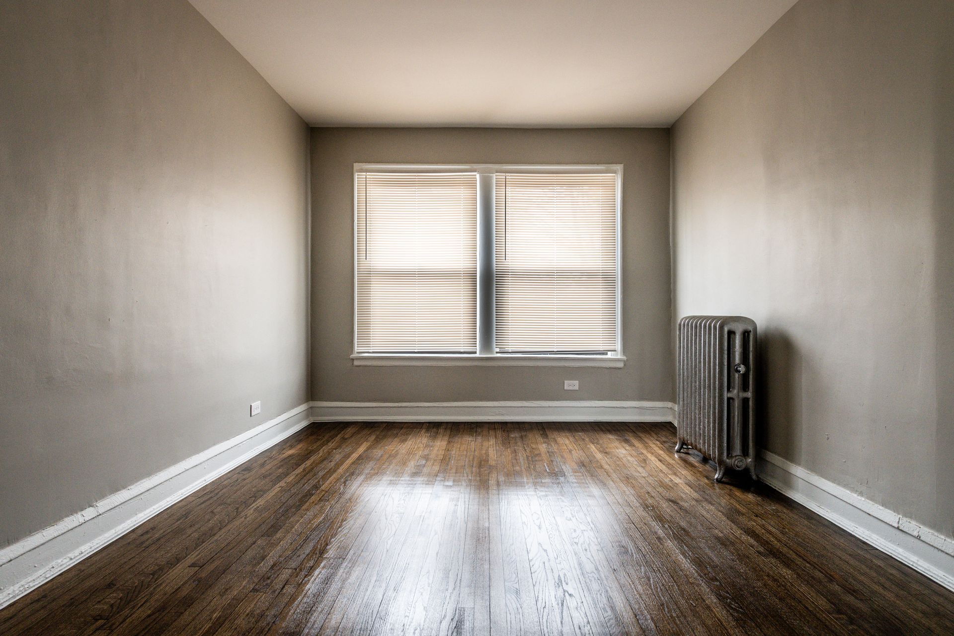 Empty room with hardwood floors, a window with blinds, and a radiator. Gray walls.