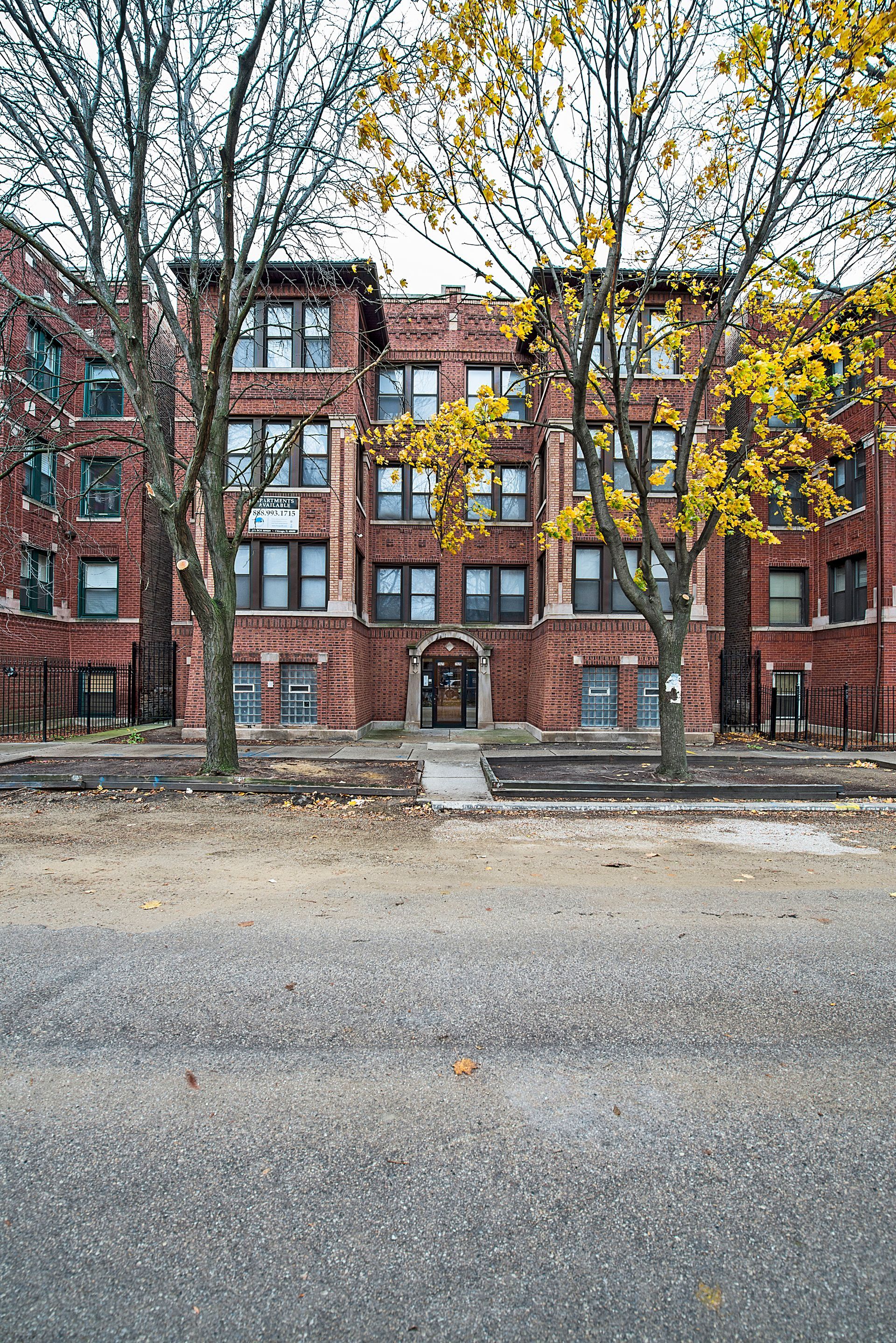 Brick apartment building with bare and yellow-leafed trees in front, on a street.