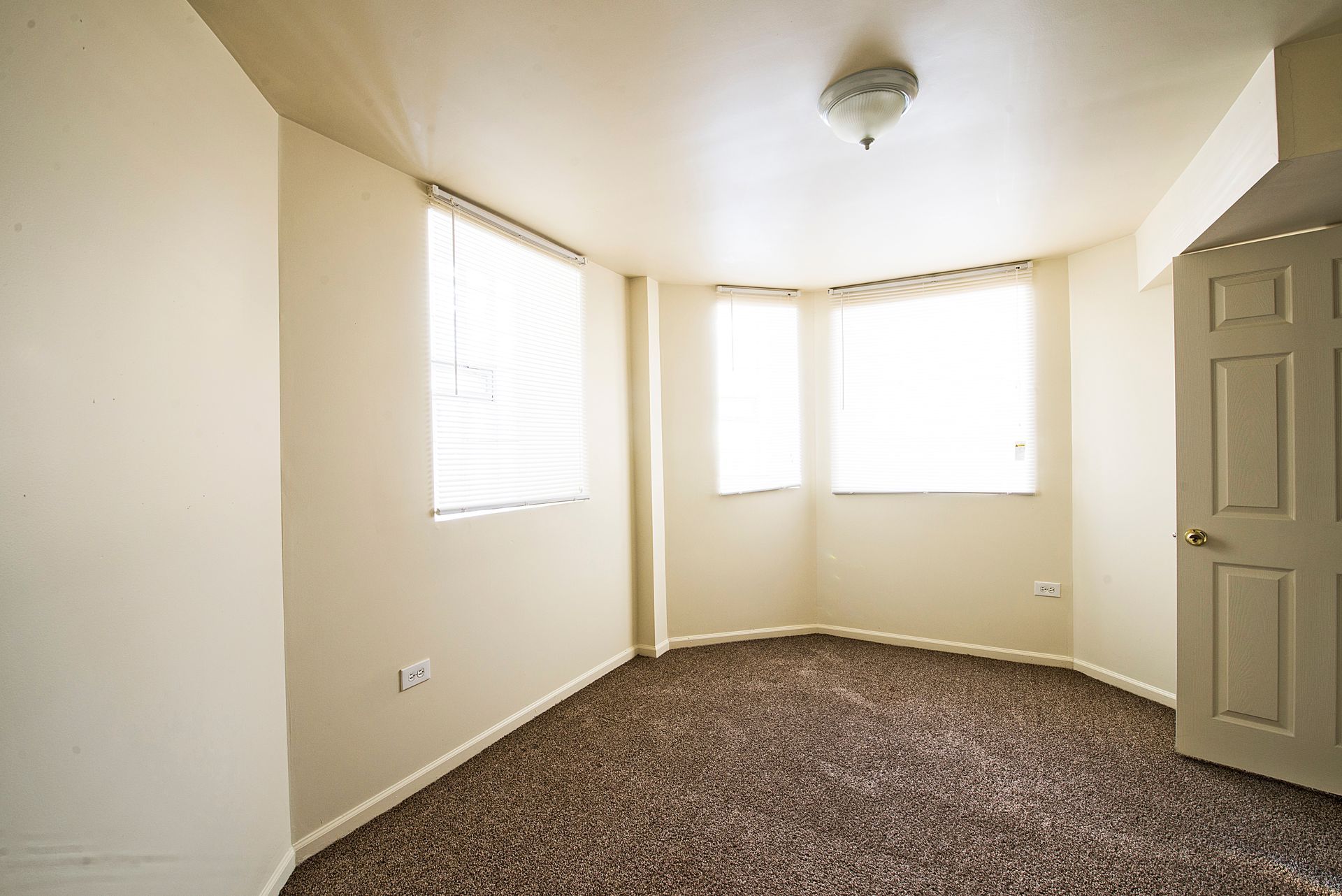 Empty room with beige walls, brown carpet, and two windows with blinds. A door is visible.