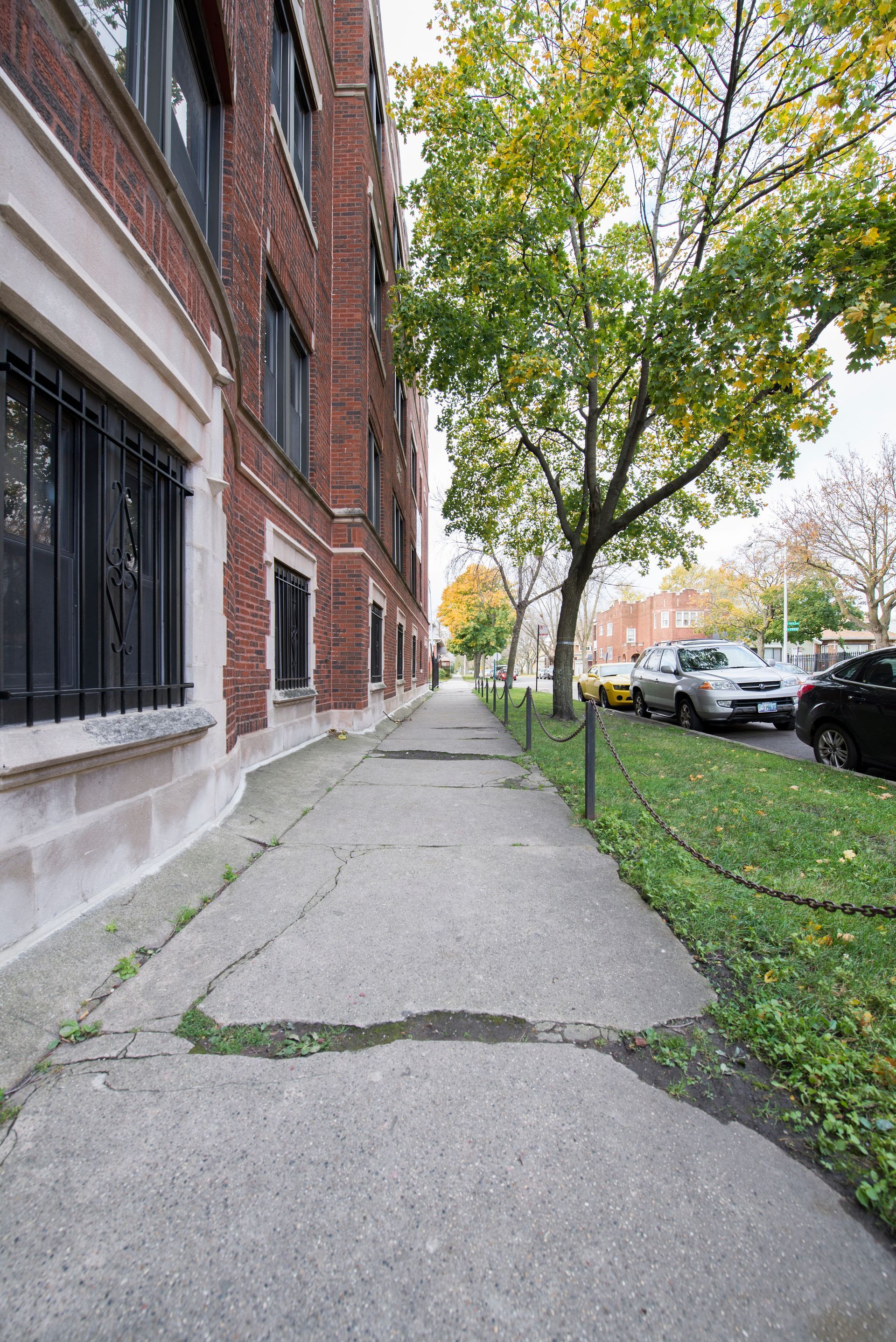 Concrete sidewalk next to a brick building and parked cars under a tree.