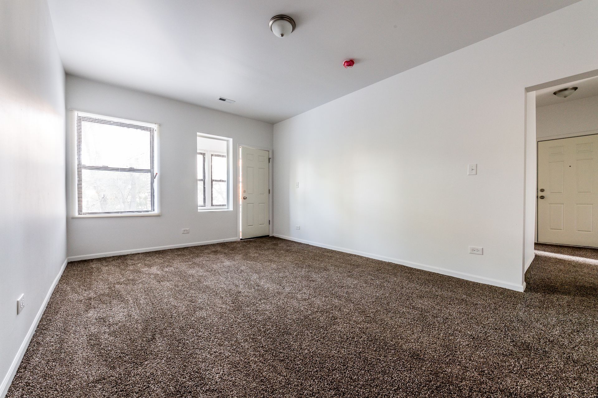 Empty room with brown carpet, white walls, two windows, and an open doorway.