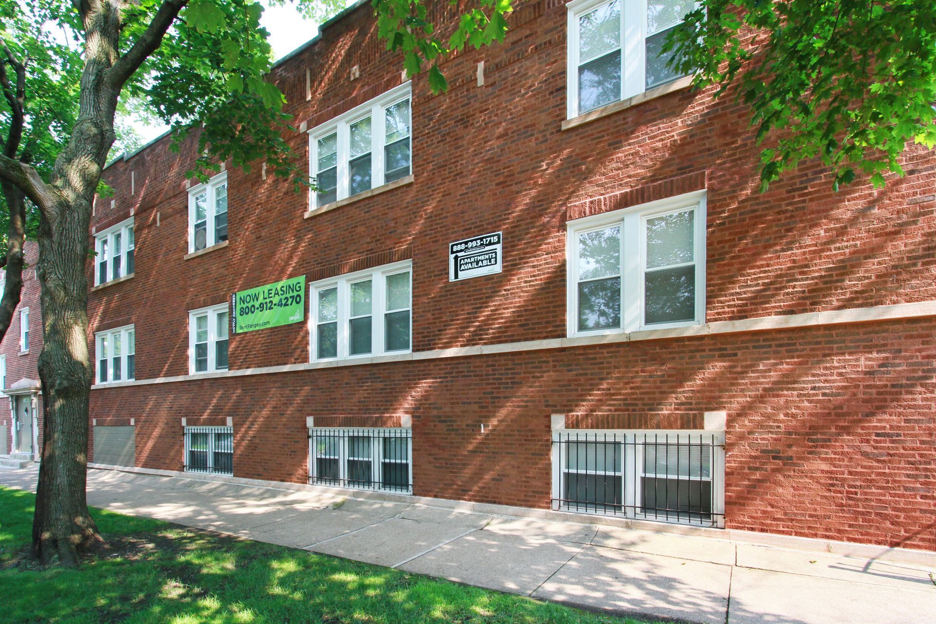 Brick apartment building with multiple windows; sidewalk and green tree in front.